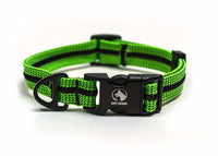 Adventure Dog Collar - Greens/Yellows