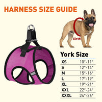 York Mesh Pet Harness