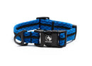 Adventure Dog Collar - Blues