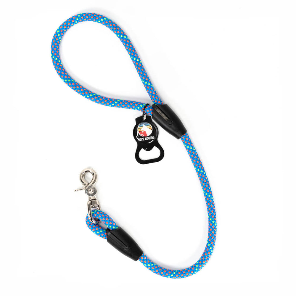 2' Traffic Dog Lead - Blues