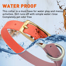 Brass: EXTRA SMALL (9-12"long, 1/2"wide) BioThane Collar