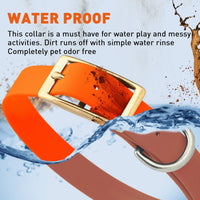 Brass: LARGE (18-22"long, 1"wide) Biothane Collar