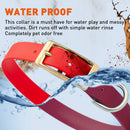 Brass: MEDIUM (15-18"long, 3/4"wide) Biothane Collar