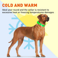 Brass: LARGE (18-22"long, 1"wide) Biothane Collar