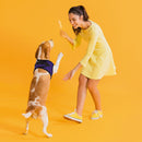York Mesh Pet Harness