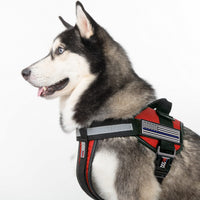 3D Rubber Patches for Dog Harness or Vest