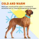 Brass: SMALL (12-15"long, 5/8"wide) BioThane Collar