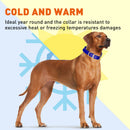 Brass: XL (22-25"long, 1"wide) Biothane Collar