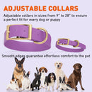 Brass: SMALL (12-15"long, 5/8"wide) BioThane Collar
