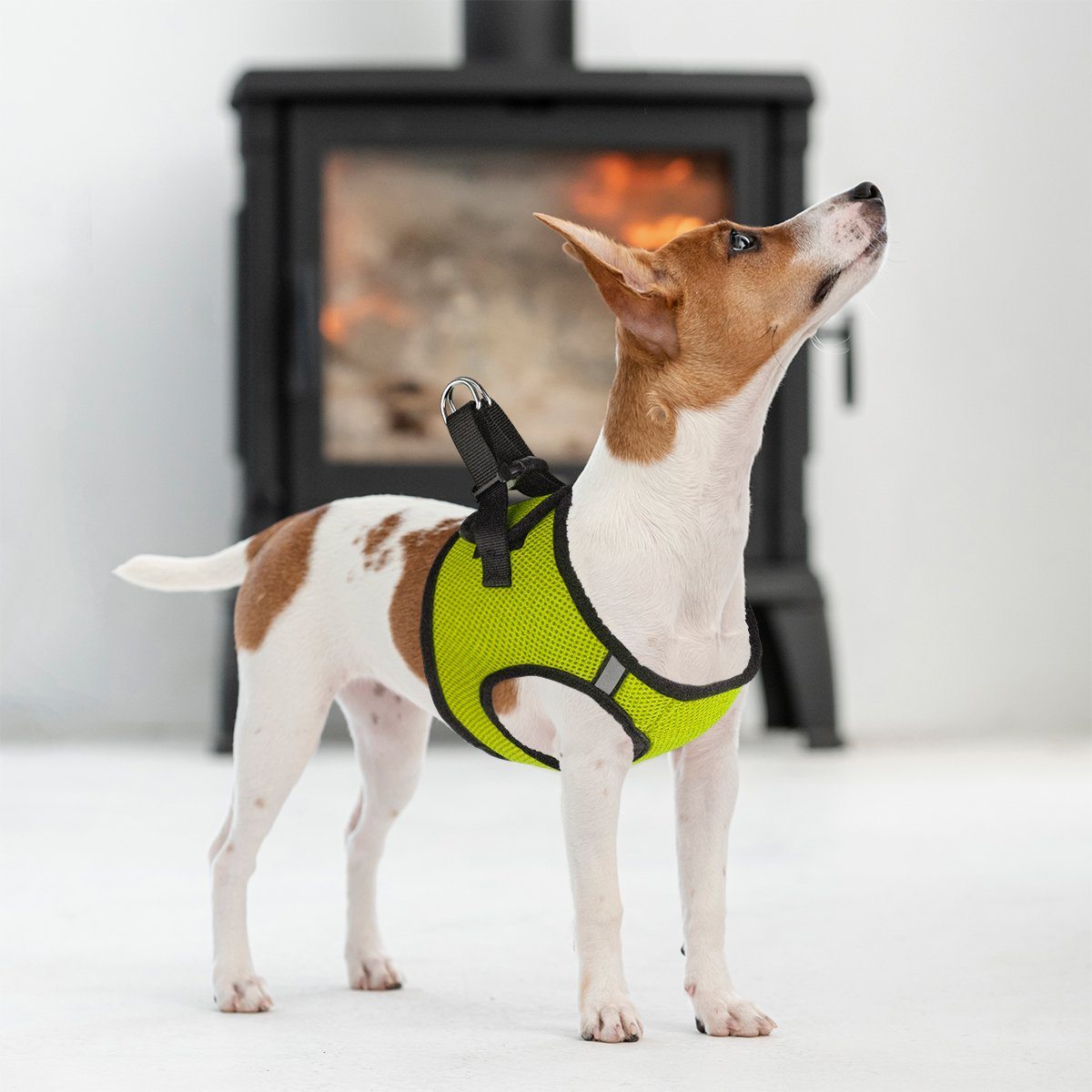 York Mesh Pet Harness