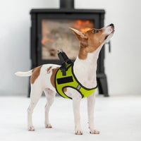 York Mesh Pet Harness  - 2 Hook & Loop Patch Fasteners