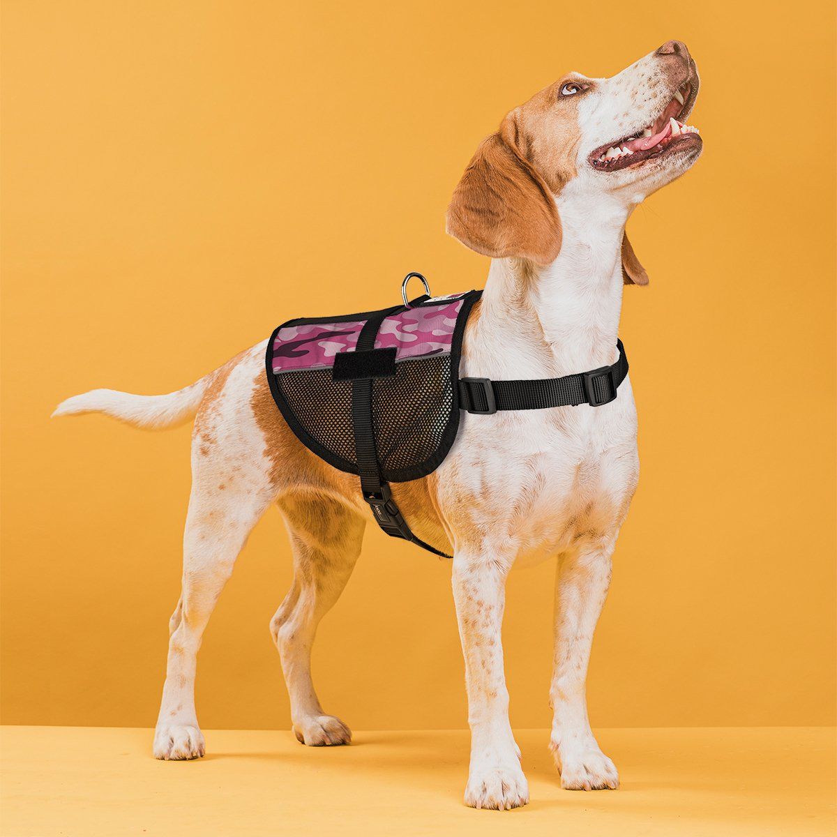MaxAire Mesh Dog Vest Harness - 2 Hook & Loop Patch Fasteners