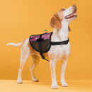 MaxAire Mesh Dog Vest Harness - 2 Hook & Loop Patch Fasteners