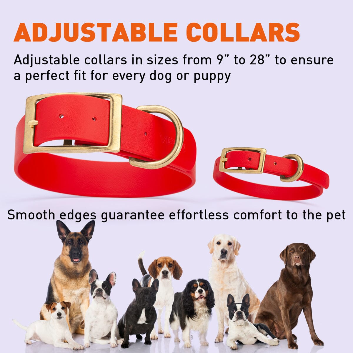 Brass: XL (22-25"long, 1"wide) Biothane Collar