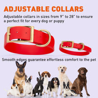 Brass: XL (22-25"long, 1"wide) Biothane Collar
