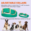 Brass: LARGE (18-22"long, 1"wide) Biothane Collar