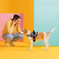 3D Rubber Patches for Dog Harness or Vest
