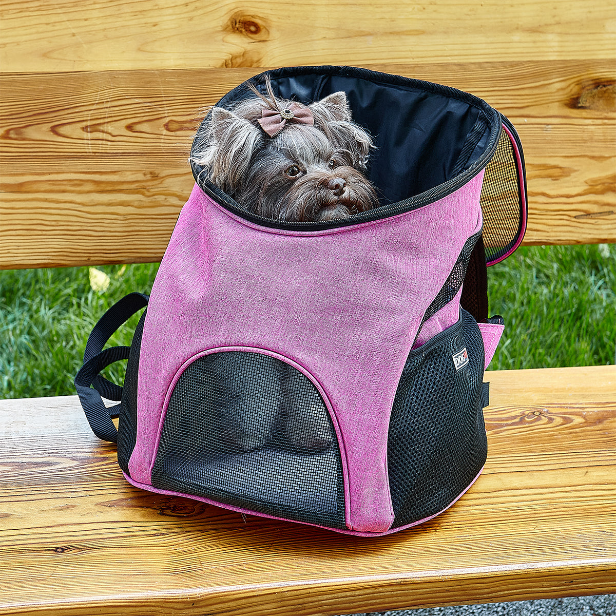 Pet Carrier Backpack - Airline Approved
