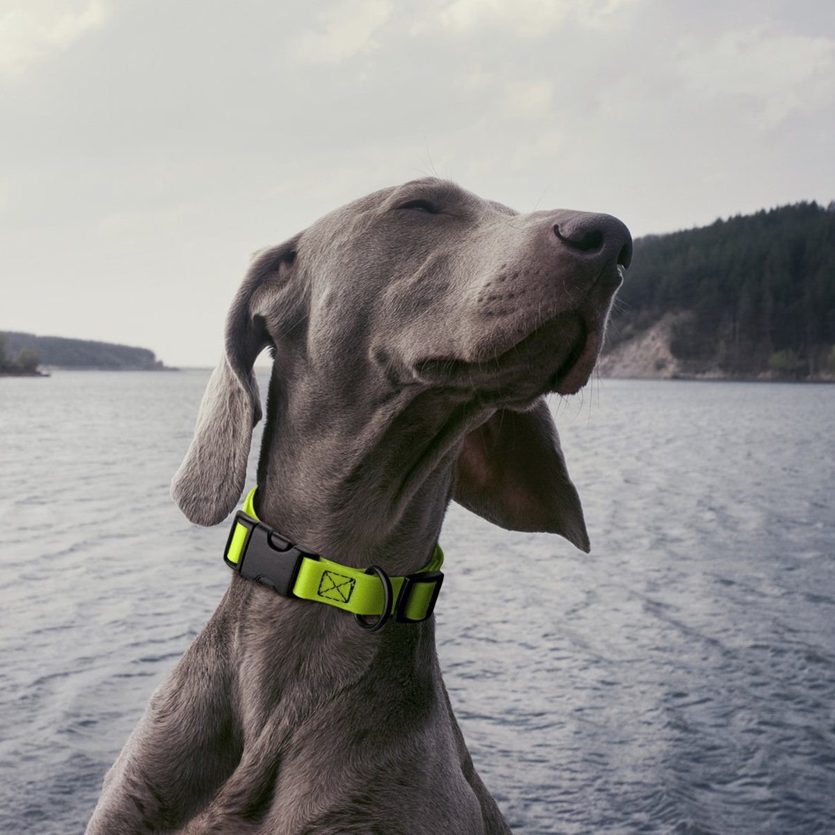 Biothane Waterproof Dog Collar - Plastic Quick Release Buckle