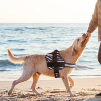 Unimax Multi-Purpose Dog Harness