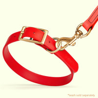 Brass: SMALL (12-15"long, 5/8"wide) BioThane Collar
