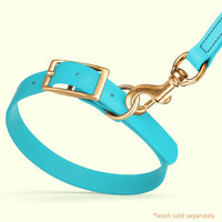 Brass: LARGE (18-22"long, 1"wide) Biothane Collar