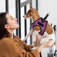 York Mesh Pet Harness  - 2 Hook & Loop Patch Fasteners