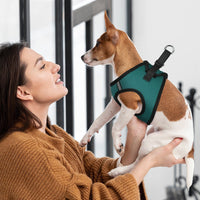 York Mesh Pet Harness