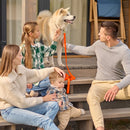 Brass Clip - SMOOTH BioThane Leash: 6ft; 1/2", 5/8", 3/4" wide