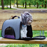 Dual Color Collapsible Pet Carrier - Airline Approved