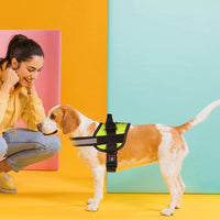 Unimax Multi-Purpose Dog Harness