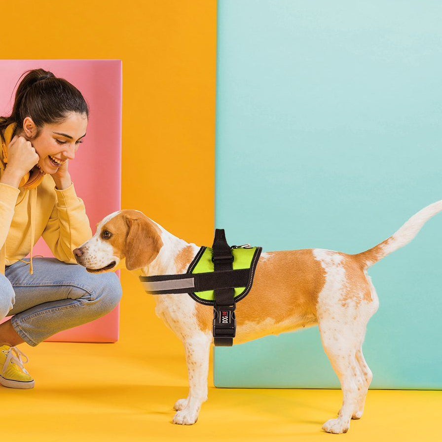 Unimax Multi-Purpose Dog Harness