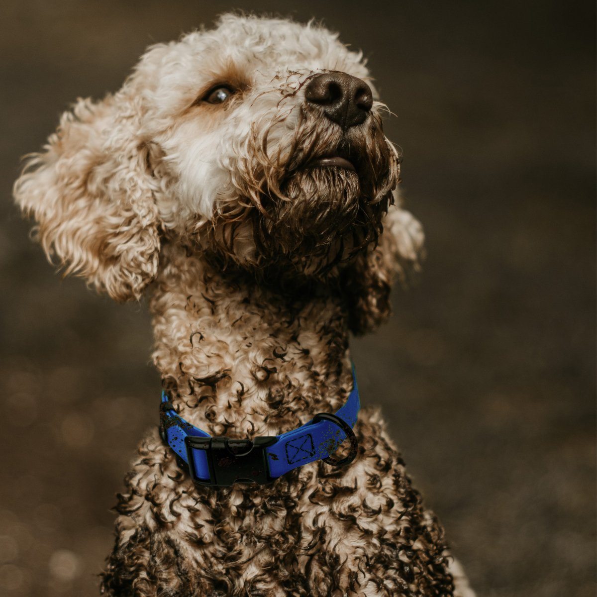 Biothane Waterproof Dog Collar - Plastic Quick Release Buckle