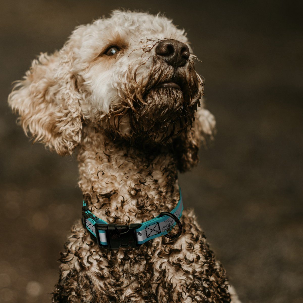 Biothane Reflective Dog Collar - Quick Release Buckle