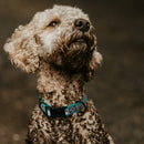 Biothane Reflective Dog Collar - Quick Release Buckle
