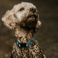Biothane Reflective Dog Collar - Quick Release Buckle