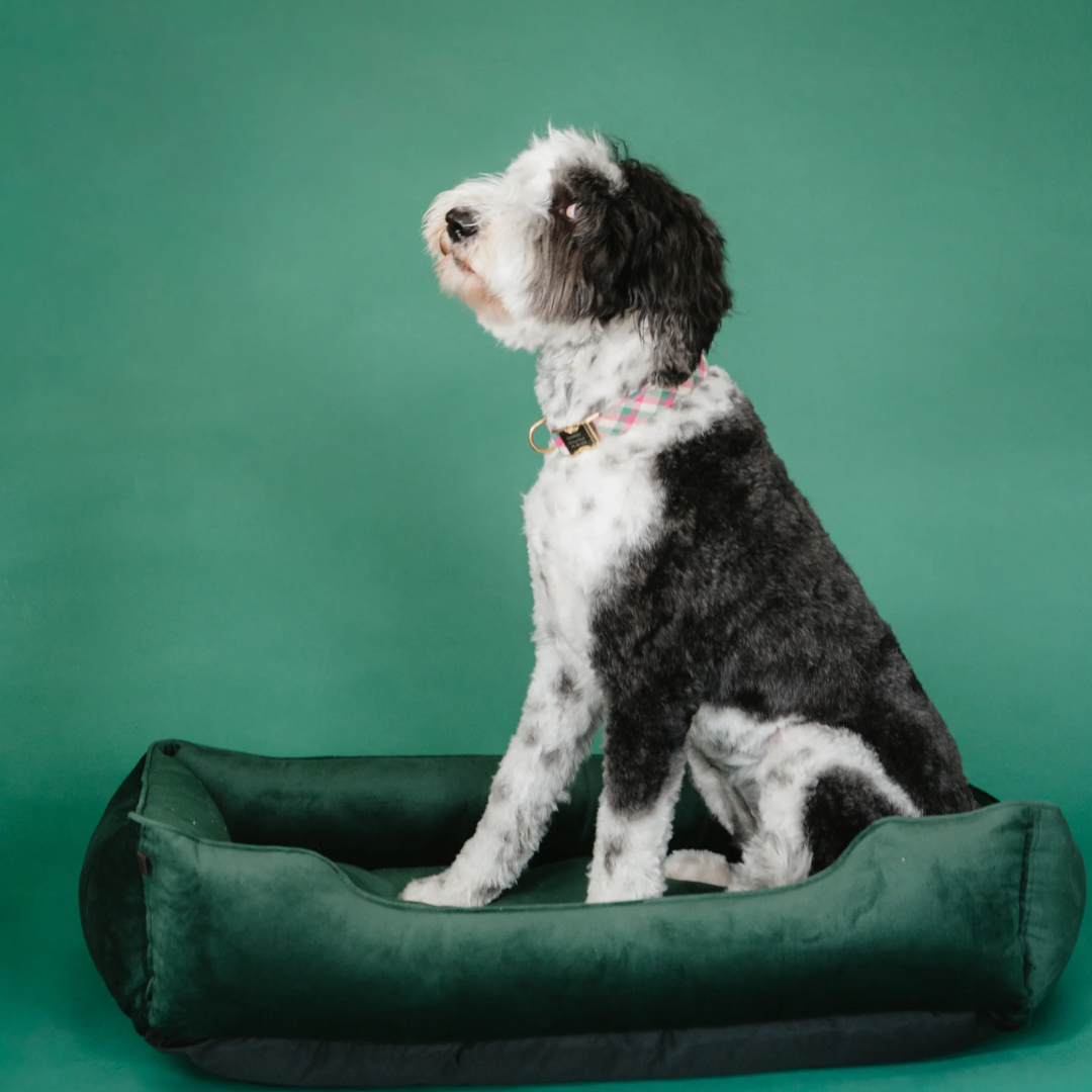 Classic Velvet Sleeper Dog Bed in Green - Chester & Lee