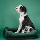 Classic Velvet Sleeper Dog Bed in Green - Chester & Lee