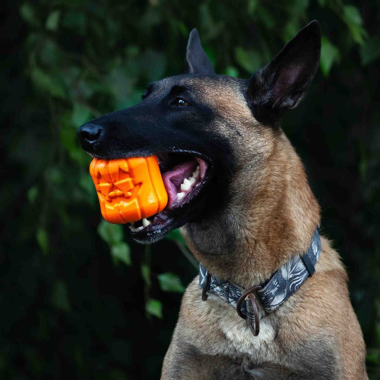 Jack O' Lantern Dog Toy - Treat Dispenser