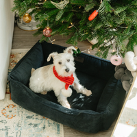 Fancy Corduroy Sleeper Dog Bed in Graphite - Chester & Lee