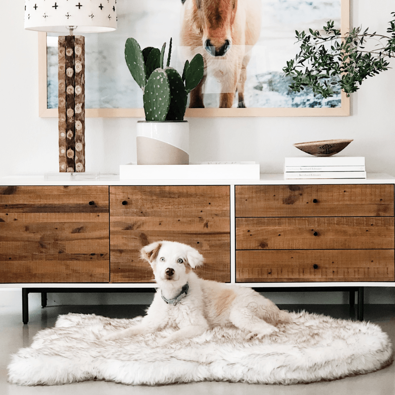 PupRug by Paw.com® Faux Fur Orthopedic Dog Bed: Curve White with Brown Accents