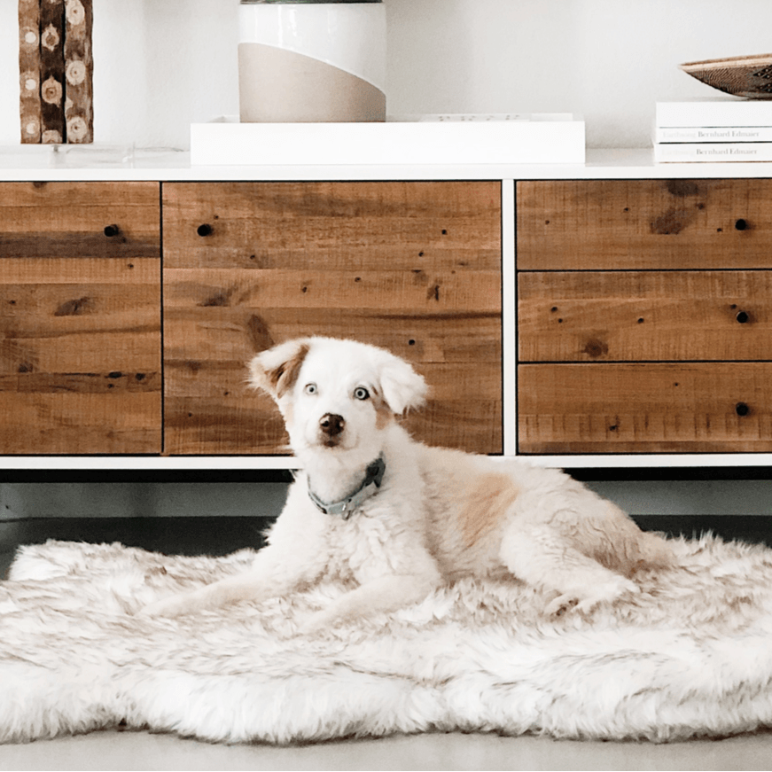 White w/Brown Accents Faux-Fur Memory Foam Dog Bed & Plush Rug