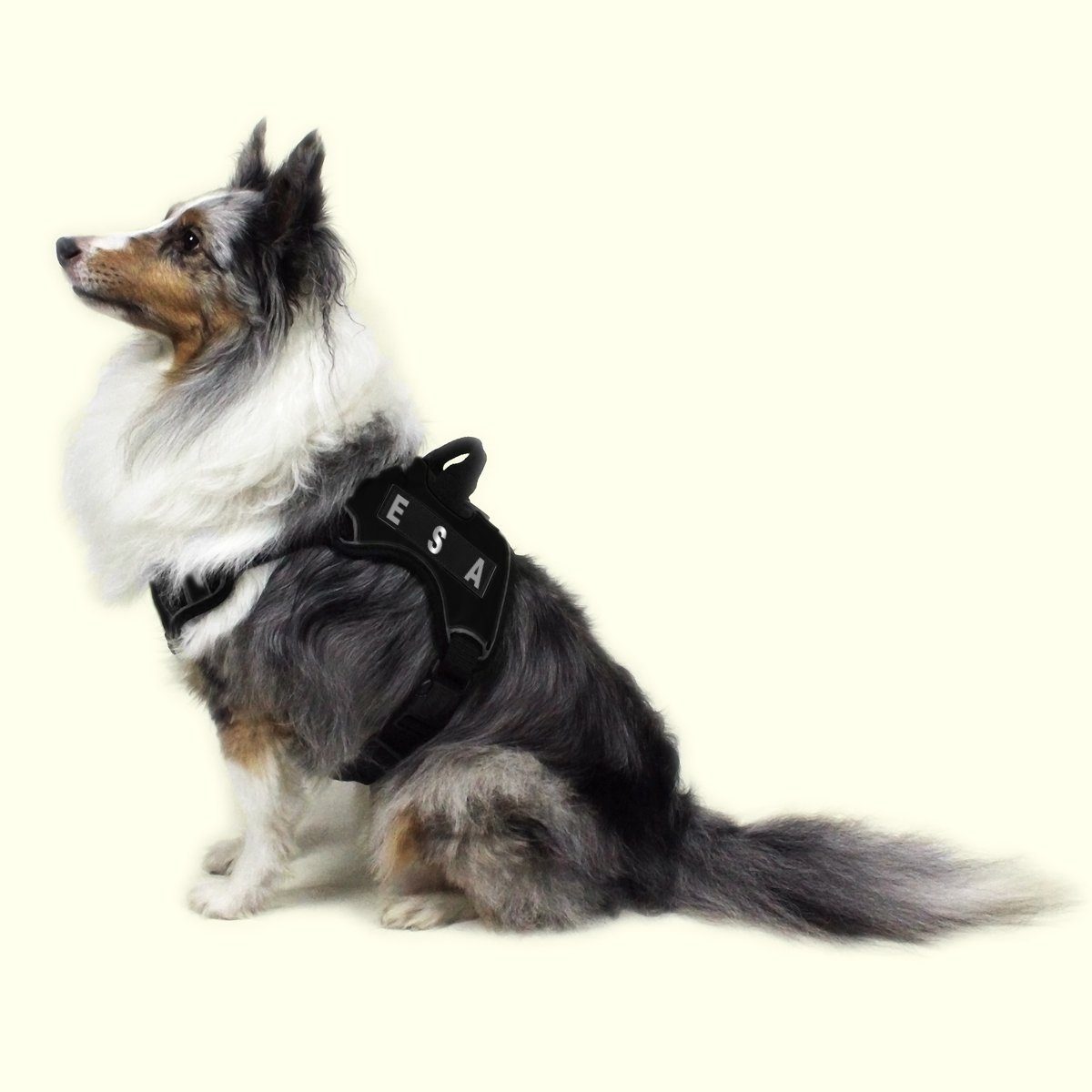 Reflective Fabric Patches for Dog Harness or Vest (Set of 2)