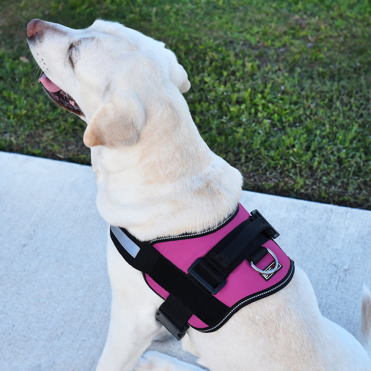 Multi-Purpose Harness: 15-46" chest, 2 Patch Fasteners