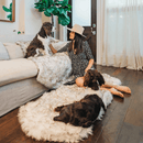 PupRug® Runner Faux Fur Memory Foam Dog Bed: Curve White with Brown Accents
