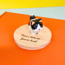 Cat Painting DIY Craft Kit (2) - Create a Keychain