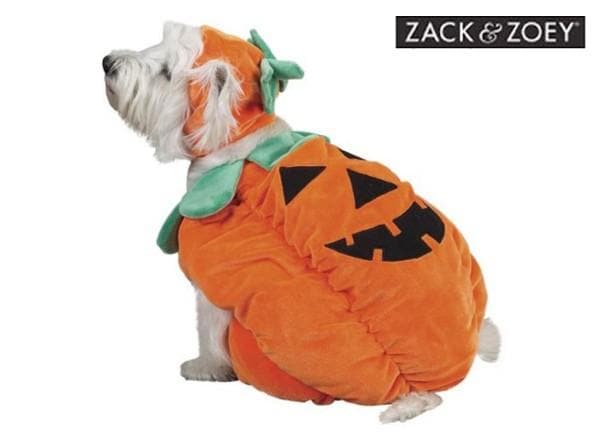 Pumpkin Costume - Zack & Zoey