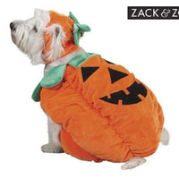 Pumpkin Costume - Zack & Zoey