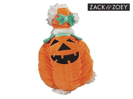 Pumpkin Costume - Zack & Zoey