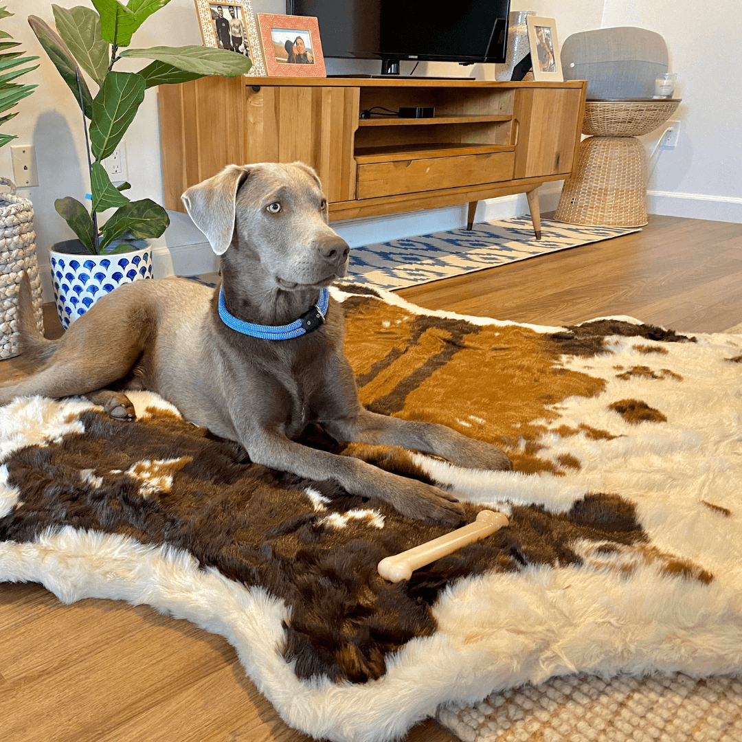 PupRug® Animal Print Memory Foam Dog Bed: Brown Faux Cowhide